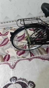 دراجة • نضيف حاوية • موديل 21