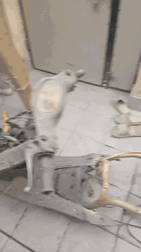 السلام عليكم دراجه قجمه كامله نقص بس مكينه يعني شاصي وضفيره وعقل وكتف وتنانكي ويل وتاير وماشه وعداد ومجامع وسودات وبكلايت ولحيه حته كفرات موجوده السعر ٧٥ المكان بغداد الشعب *********** فقط واتساب
