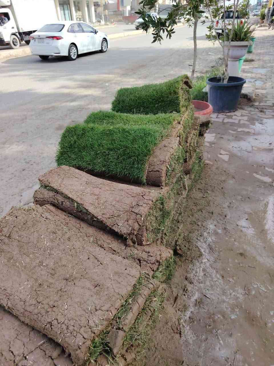 وصلنا ثيل درجة اولى هندي✅
العنوان كورنيش الديوانية مقابل هايبر توفير 
للحجز والاستفسار مراسلة الصفحة


**إذا كنت صاحب هذا الإعلان وتريد حذفه لأي سبب، رجاءا أرسل رسالة إلى الدعم الفني**