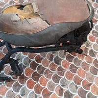 فراشة • شاصي كامل • بابل