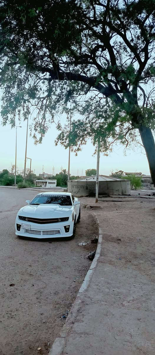 كمارو 2014
3600👉 RS
ماشيه 77 الف  حادثها مال أمريكاجاملغ خلفي عكس السايق والدوسه شويه منها 
سياره ع وضع الشركه كلش كلش جديده كتلوكاتها وياها اني مالكها الثاني 
مواصفات السياره 
1- مكينه 6سلندر 
2- لايت ليد عدسه
3- بك لايت ليد
4- حساسات خلفيه 
5- كاميرا خلفيه 
6- دفيوزر خلفي أصلي
7- كشنات جلد كهرباء 
8- تدفئه تبريد بالكشنات 
9- شاشه كبيره 
10 - تشغيل عن بعد 
11- كروس سعره
12- شفتات كير 
13- تخم تاير جديد 
14- تاير خلفي 315
15- تاير امامي 245
16- حجم الويل 20 مال كورفيت
17- تبريد تدفئه 
18 - حداده نضيفه 
سياره برغي واحد ما فاتح بيها كلش كلش جديده 
بيع او مراوس حسب القناعه 
سعر 115 وبيها مجال 
رقم بصره 
مكاني بصره معقل
***********

