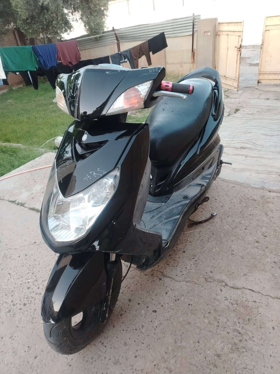سكنس فحل ياباني نوزل خطين للبيع السعر ٧٥٠ ***********

