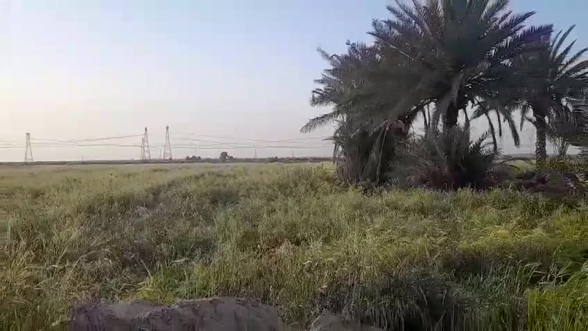 السلام عليكم ارض 12دونم للبيع مع دار متوفر ماء اساله وماء سقي مساحة البيت 500متر بناء جديد 2026 ماصار شهر من كمل كافة الخدمات بيها الموقع محافظة واسط قضاء العزيزية للاستفسار ***********
