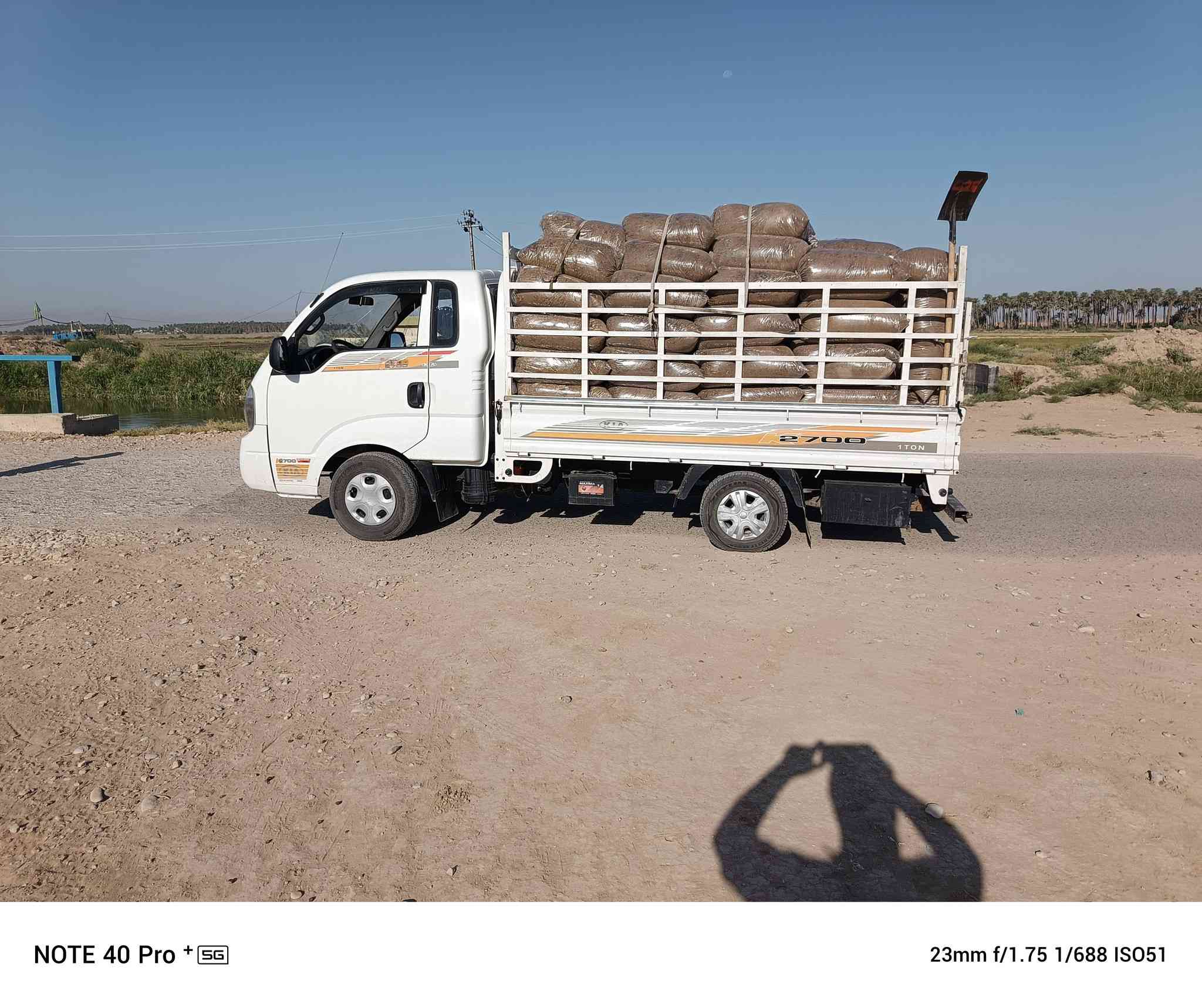 متوفر دمن غنم وهوش للبيع كواني وكياس توصيل ديالى وبغداد والشراي يتصل علرقم ***********
