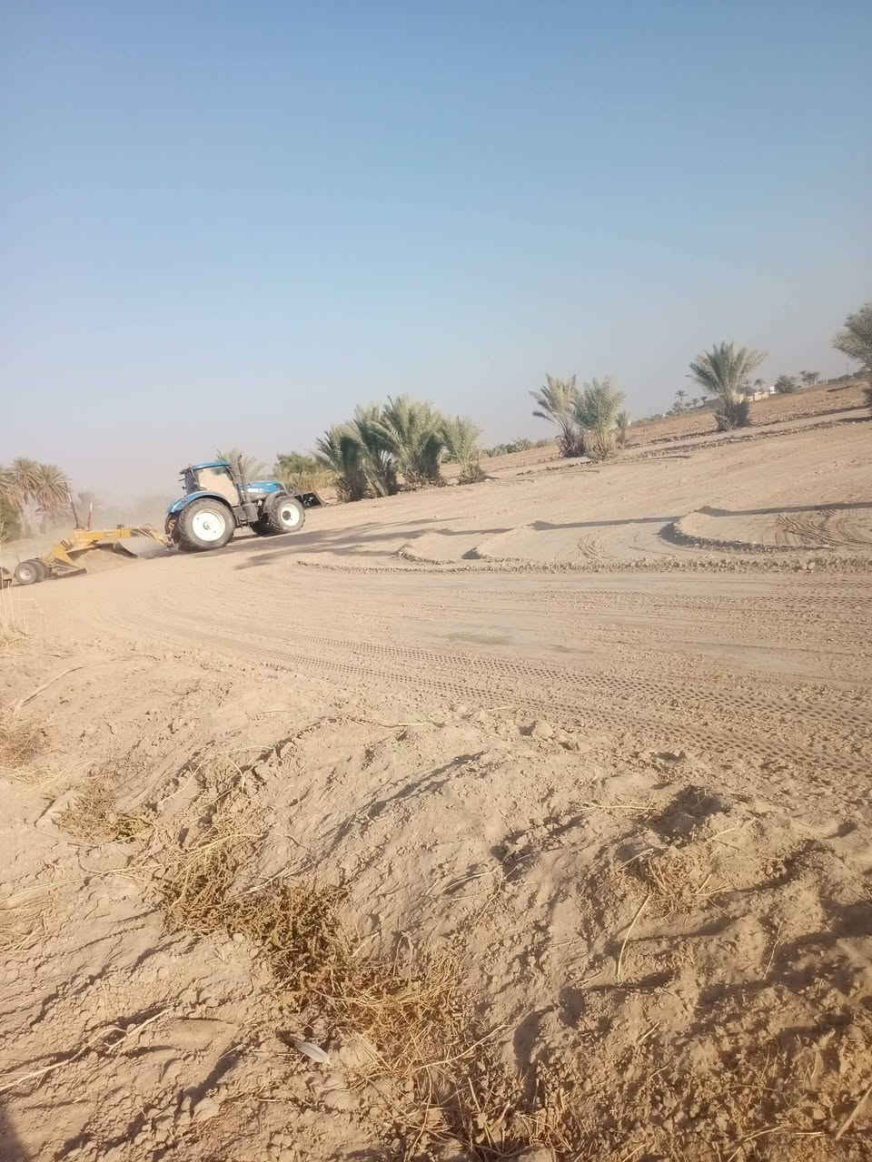 كاع بقريت الناطور قرب المدرسه شارع تبليط ماء اساله ماء سكي كهرباء نخل حمال ابيع من ٢دونم الى ٢٣دونم ***********
