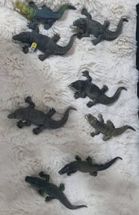 مجموعة • تماسيح • شلايش