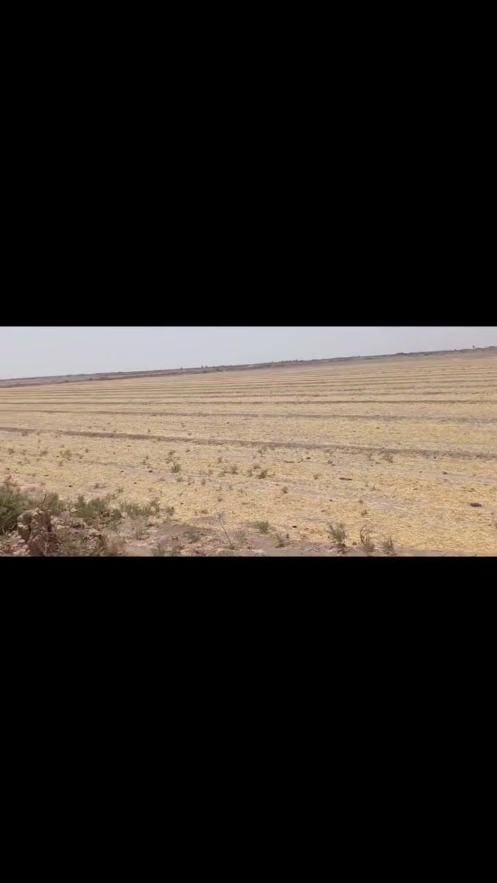 السلام عليكم 
كاع زراعيه للبيع 40 دونم صالحة كلها في الدجيلي الشاخة 10 النهر العاشر بيها بزول من جهتين 
والجهتين الاخرى انهر  الاستفسار واتساب ***********
