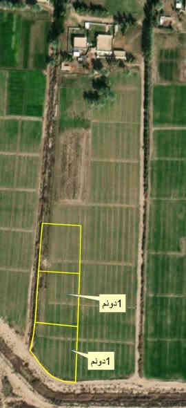 السلام عليكم
دونم زراعي سند ٢٥ تحويل مباشر 
ابسمي تحويل على طابو المحموديه 
الدونم مسيج واكثر من دونم بي زياده 
الدونم مربع ومسيج وكامل 
يرهم سكن مزرعه شاليه 
عنوان /سريع بغداد حله يم الجسر الرابع 
يبعد عن جسر الطابقين والدوره ربع ساعه 
المنطقه مخدومه من خدمات تبليط كهرباء ماء 
محلات مدارس 
***********
