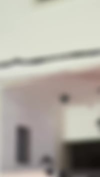 الشالجيه الزراعي • دار حديث • ٦٠م