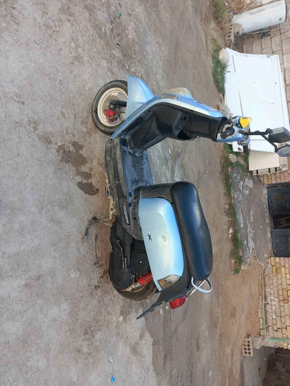 السعر 600 وبيها مجال


**إذا كنت صاحب هذا الإعلان وتريد حذفه لأي سبب، رجاءا أرسل رسالة إلى الدعم الفني**