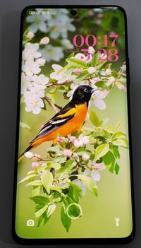 نوت ١٣ برو بلس • ٥١٢+١٢ • زر التشغيل معطل