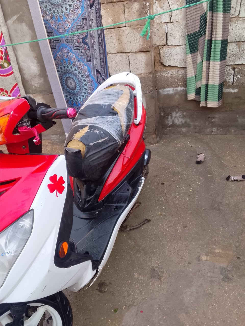 سلام عليكم شباب سكنس فحل للبيع الدراجه مجفته جديد وخير من الله يرادلهه بس باتري الدراجه دنكره سلف وبيهه فيلسه السعر 400وبيهه مجال *********** او مراوس بماكس مال لعب ويطي فرق المكان بغداد الكماليه
