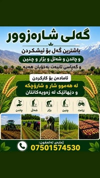 گەلی شارەزوور باشترین گەل بۆ ئیشکردن و چاندن وشەتڵ وبژار و چنین و کەپا...