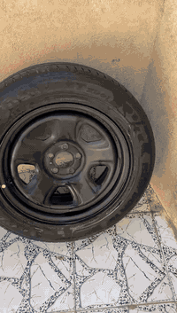 تخم ويل بوليسي أصلي كامل بدون صبغ سعره ٥٠٠ ألف *********** كربلاء
