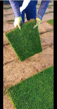 ثيل طبيعي • توصيل مجاني • بغداد