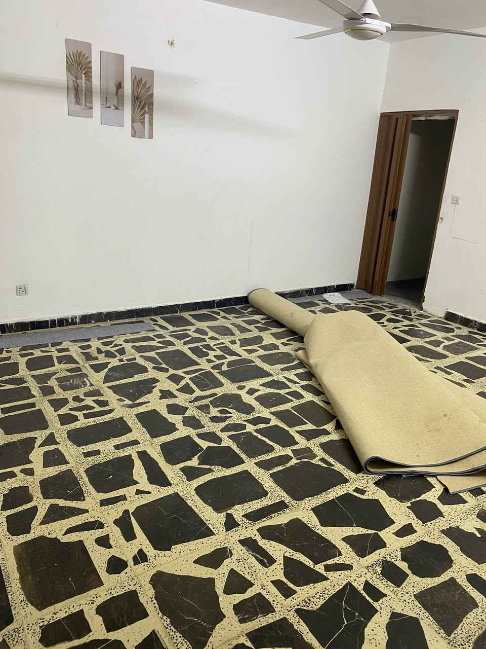 السلام عليكم
بيت طابق ارضي للأيجار بالغزالية بشارع المشجر بالمربع مال الملعب مساحة 135م  غرفة نوم 5في6 صاله 5في6 + حولي او مطبخ 3 في 5 او حمام + كراج كبير ايجاره  600 الف والاتصال واتس وخط على الرقم فقط لانتواجد في الفيس ***********
