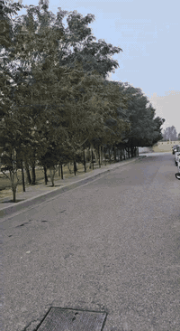 مجمع الكوثر • ١٥٠م • طابو صرف