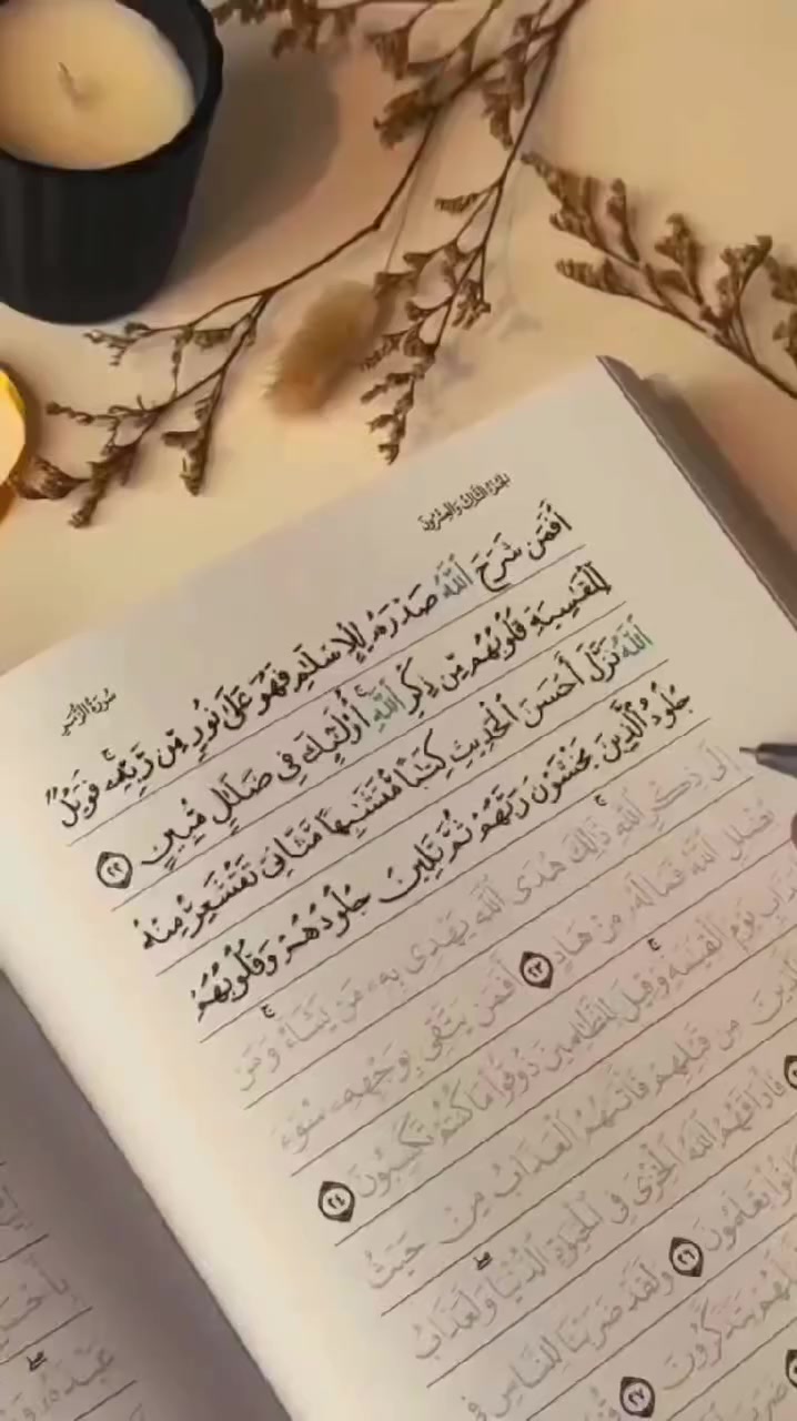 هل تريد تعلّم كتابة القرآن الكريم وتشكيله بنفسك؟
الآن متوفر في مكتبة ياسر
🔹 قرآن كريم بطباعة شفافة خاصة
تتيح لك إعادة الكتابة والتدرب على الحركات والتشكيل بسهولة.
🔹 مناسب لـ:
الطلاب والمتعلمين
حفظة القرآن
من يريد التدبر والكتابة بيده
✨ المميزات:
جلاد سميك يحمي المصحف
طباعة واضحة ومريحة للعين
يمكن الكتابة عليه وإعادة استخدامها
🎁 أربعة أقلام هدية
💰 السعر: 11,000 دينار فقط
📍 متوفر الآن في مكتبة ياسر
بعقوبة - حي المعلمين - مجاور محلات الهذال

الكمية محدودة جدا 
#مكتبة_ياسر
#كتابة_المصحف


**إذا كنت صاحب هذا الإعلان وتريد حذفه لأي سبب، رجاءا أرسل رسالة إلى الدعم الفني**