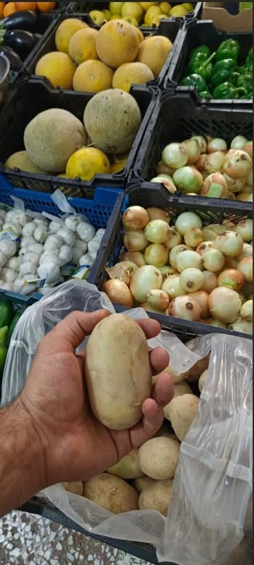 حر الصيف عوفه علينا.. ومسواكك يوصل لِـ باب بيتك! ☀️🍅

السلام عليكم .. تحية طيبة لأهلنا . ✨

احتراماً لوقتكم وما نريد تعبكم بهذا الحر والسموم، وبدل ما تطلعون وتتعبون بالأسواق، إحنا راح نريحكم! مسواككم اليومي من الخضروات والفواكه الطازجة والدرجة أولى (طماطة، خيار، باذنجان، وكلشي يحتاجه المطبخ العراقي) صار يوصلكم مثل ما تحبون وبأعلى جودة.

💡 ليش تختارنا؟
✅ توصيل سريع: نغطي كل مناطق الديوانية وبدون تأخير.
✅ بضاعة مكفولة 100%: القطعة الماتعجبكم ترجع فوراً وما يكون خاطركم إلا طيب، لأن رضاكم هو هدفنا الأول.
✅ الأمانة والثقة: ثقتكم بينا هي رأس مالنا الحقيقي.

لا تتعب نفسك بالطلعة.. راسلنا هسة على الواتساب وإحنا بخدمتك ونجهزك بأفضل ما يكون 👇
📱 ***********
