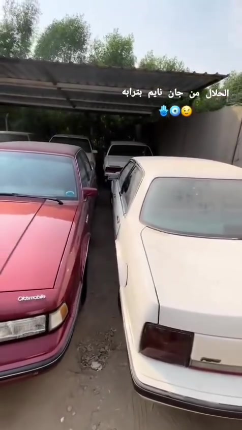 تحيه طيبه وين ليدور سياره جديده
اولدز موديل ٩٠ بدون صبغ بدون ضرر سياره جديد
تبريد كهربائيات كله شغال مسجل بلاد سياره نضيفه 
بدون اي نقص بسمي مكان بغداد البياع الشهداء 
*********** وسعرها ٦٠ واسف عل اطاله وكلشي موجود بل سوك حته ب٣٠ تحصل والله يرزق الجميع
