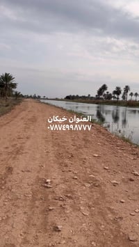 خيكان • ٧دونم • على الشط