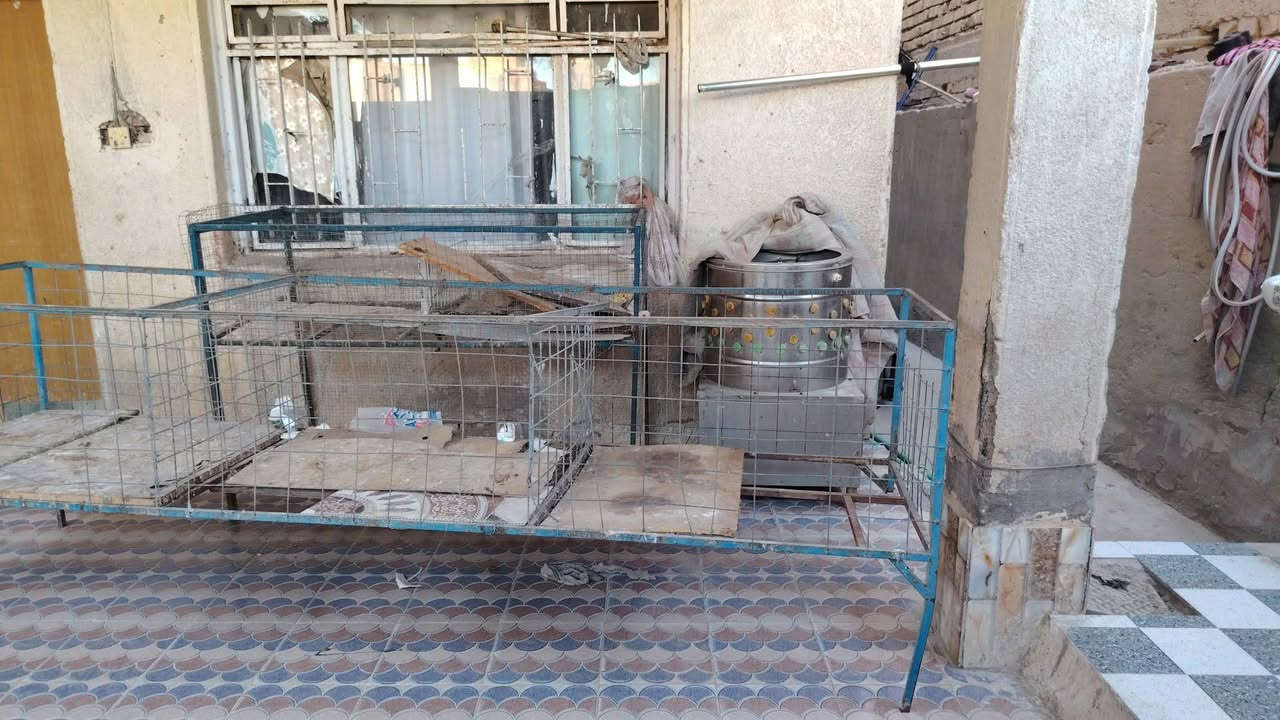 عندي غراض محل دجاج كامله للبيع
غراض مال محل دجاج كامله
كيزر جديد ١٠٠

ماطور جديد ٤٥

اقفاصه ١٠٠

مكينه نضافه ٩٠ بلميه ٢٠٠

مراوح تعليك ثنين٥٠

تانكي + البوراي والصوندات والعسكات وياهن ٥٠

سنك وي دوش مالته٢٥

مذبح جديد ٤٠
ومبرده حجم كبير ثلج ٩٠


**إذا كنت صاحب هذا الإعلان وتريد حذفه لأي سبب، رجاءا أرسل رسالة إلى الدعم الفني**