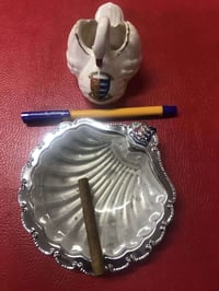 سيت نفاضة • أوزة جيكوسلوفاكي