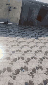 السلام عليكم بيت للبيع سند 25مدور مباشر مكان حلو طريق دغاره دوانيه مقابيل ازبيد مساه300م يبعد عن شارع عام 500م غرفتين صاله وبراني وصحيات وطارمه سعرها 45بي مجال بسيط بسيط اي ستفسار***********
