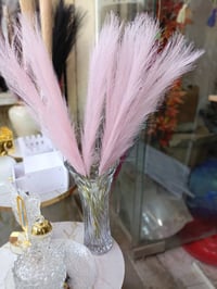 ڤازات • شارع عرق النسا • للبيع