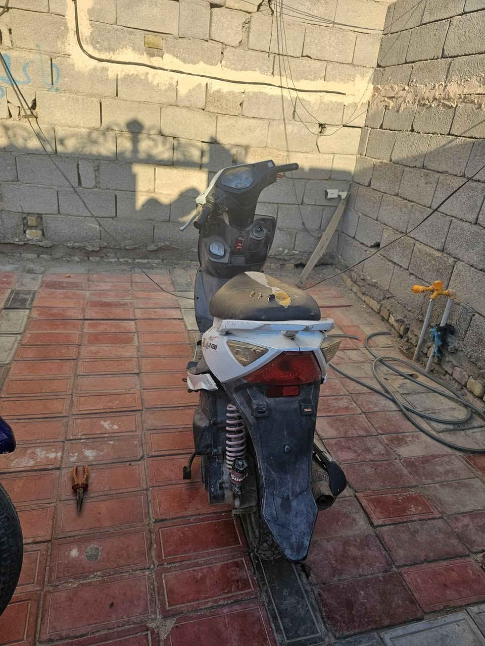 سلام عليكم دراجتين بوكسر فحل بدون مكفوله عشاير  سعره 600  دراجه ثاني نوزل شغاله كهربايات كله شغاله اوراق وكيله بل اسكان سعره 200 وبيه مجال شراي يتصل رجان  سلف ثنينهن يشتغلن ملاحضه ثنينهن يرادلهن ترتيب لن متروكات بيهن مجال قليل لعنوان ميسان عماره مقابيل طاقه ابو رمانه عل اربع سايدات رقم ***********
