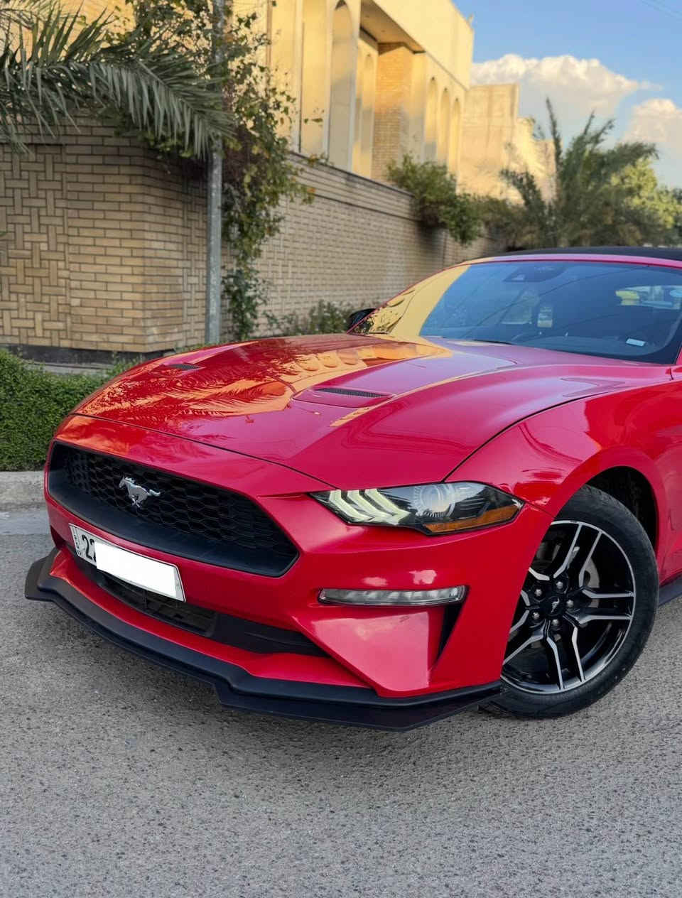 السلام عليكم
Mustang Premium 2022 1/1
ايكوبوست بجم كبس 
رقم اربيل باسمي
موصفات 
كشف
بصمه 
ترحيب 
تشغيل عن بعد 
كشنات تدفئه
كشنات تبريد 
سترين تدفئه  
وضعيات قياده
رادار امامي 
رادار جانبي نقط عمياء 
حساسات اماميه 
حساسات خلفيه 
شاشه كبيره 
وبعد بيها موصفات فول موصفات اعلى شي السياره 

سياره جديده بمعنى الكلمه محرك كفاله كير كفاله صدرها كهربائياتها تخم تاير جديد تبريد ثلج سياره كفاله بوضع شركه ادامه على المحرك من زيوت وفلاتر وبلكات 

طختها باب السايق والجاملغ وره السايق والباقي كله كفاله ونفسه مصلح يعني سياره بيها صبغ جاملغ خلفي وباب السايق والباقي كله كفاله سياره بجم كبس سياره مناسبه وحلوه مقارنه بالسيارات الي بيهم بجم وخمس قطع شوف السوك يلا تعلق وتخابر 🤍

رايدها ب162 ورجاء مو شراي لتعلق وتعبني كلمه طيبه منك واعبر المنشور حبيبي انت🤍
للاستفسار ***********
مكاني بغداد شارع المغرب بغداد, العراق
