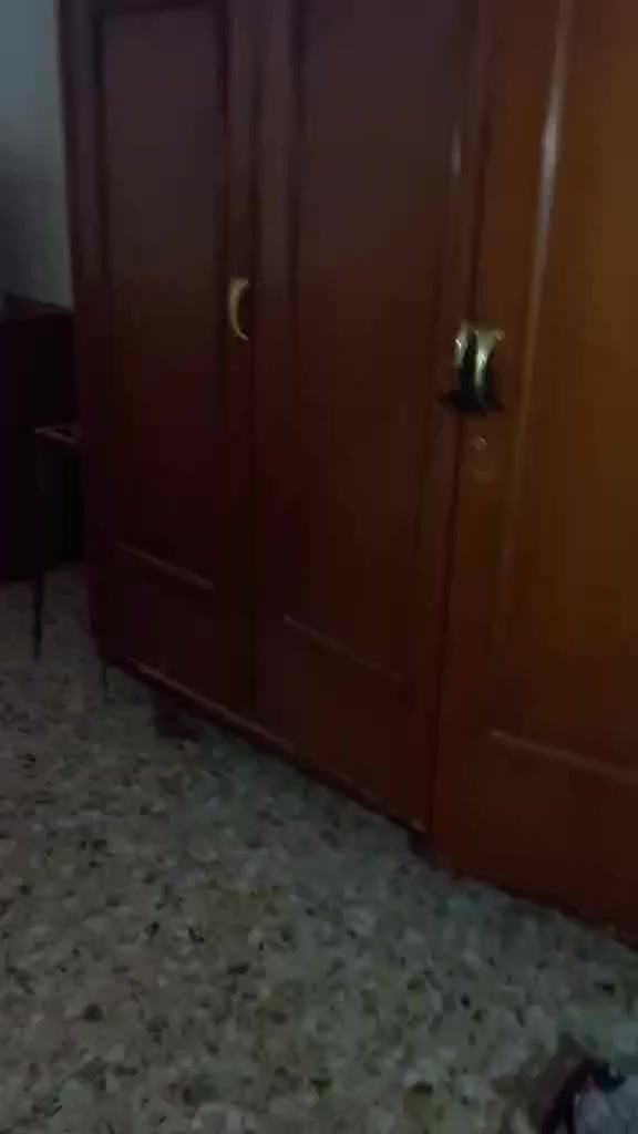 غراض بيت للبيع حجز خاص


**إذا كنت صاحب هذا الإعلان وتريد حذفه لأي سبب، رجاءا أرسل رسالة إلى الدعم الفني**