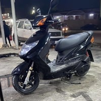 سكنس فحل • ١٦ الف • اوراق