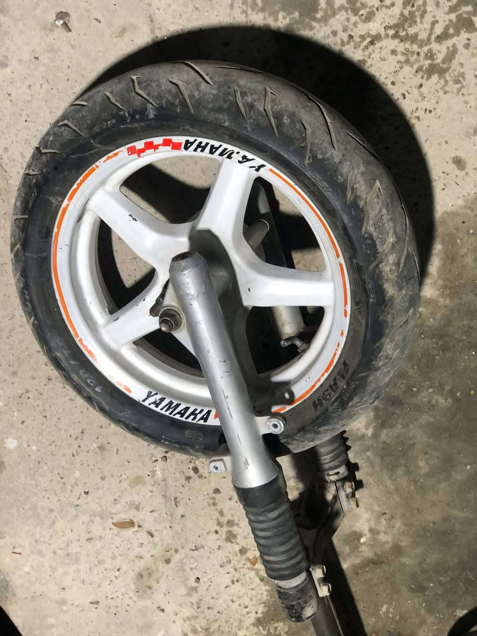 تفصيخ غراض سكنس نثية فحل
كلمن وسعره 

مكاني بغداد الشعلة 

***********
