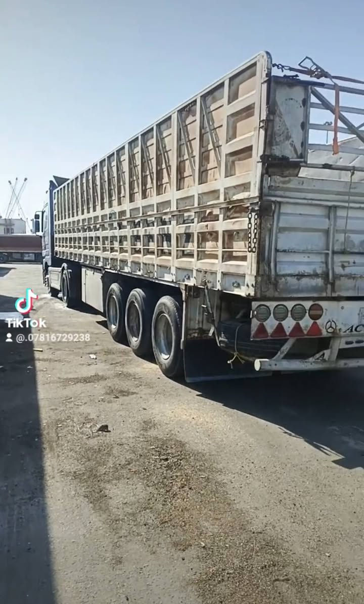 عربانه لبيع تخم تاير طولهه 12/50شصي 16دناكير 14سعر 100وبيهه مجال مكان ناصريه ***********
