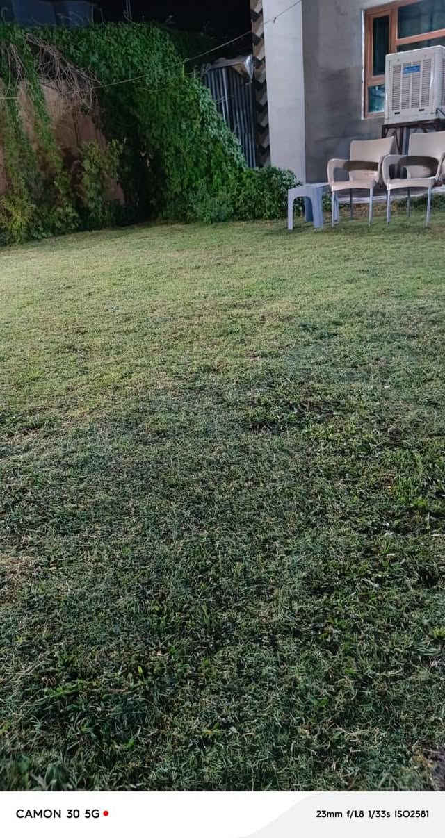 السلام عليكم تريد ترتب حديقتك قبل العيد لا تحتار كادر مميز وسريع وشغل بل  سعر اليرضيك ونضيف اتصل ***********
