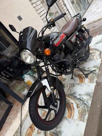 دايوان ماكس • فحل • ٢٠٢٣