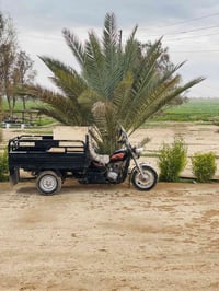 ستوته للبيع  موديل 2019   محرك كير شرط   بدي قلاب   كهربائيات شغاله   ...