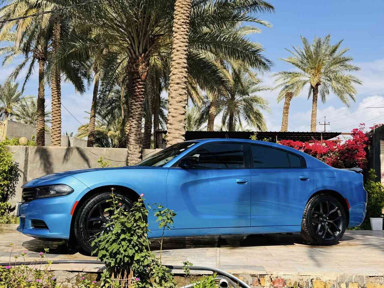 السلام عليكم
جارجر2023 بلاك توب رقم اربيل بأسمي
بدون تبديل حادثها جاملغ وربع لباب بدون دواخل
ماشيه37 جديده مناقصها اي شي مكانها بابل
السعر250 وبيها مجال
***********
