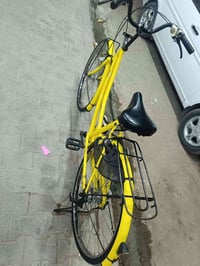 باسكل ليموني • نضافه فول • نجف مشخاب