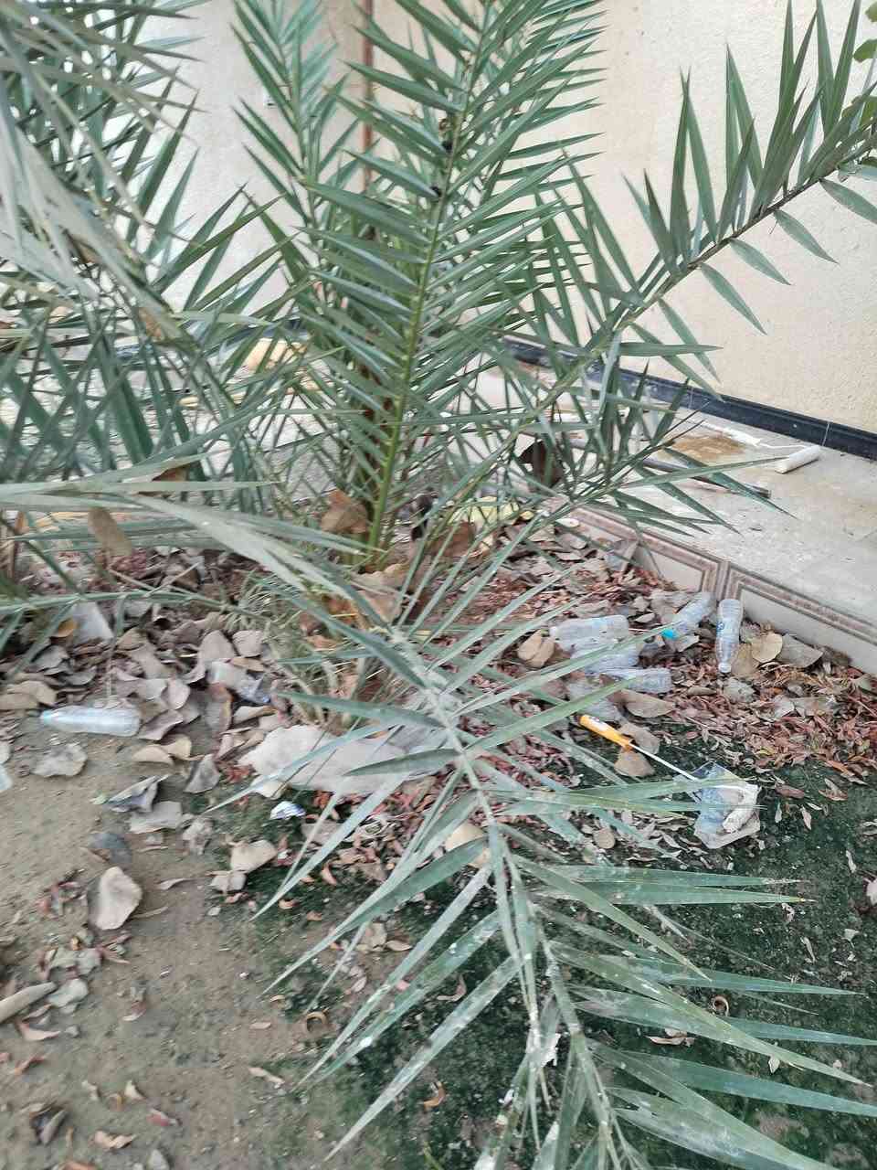 تنظيف الحدائق
تنظيف السطوح من الاوساخ و الإنقاض
واتساب ***********
