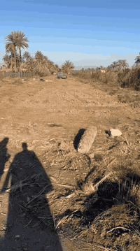 كربلاء طويريج • ٢دونم • سند طابو