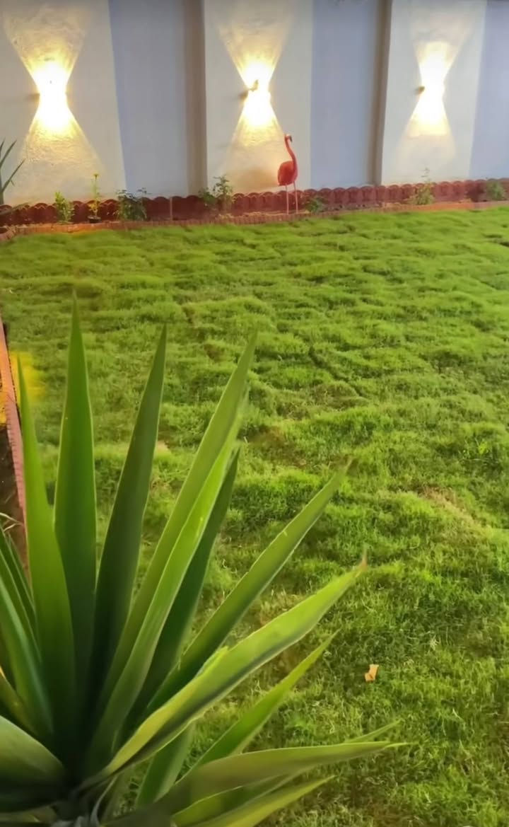 اللي عنده حديقة يريد يعدلها
او حديقة قديمة يريد ينظفها . او يريد يزرعها 
يتصل  .  "***********"
بأنسب أنسب الأسعار.  سعر خيالي اكثر مما تتخيل 
اتصل و وين ما تكون اجيك . 
واللي يريد احفر له سواجي هم عادي يتصل ويتدلل .
 
((عرض عرض عرض . لأول 5 أشخاص اشتغللهم))
نصف السعر .
فقط اتصل او راسلني واتساب .
