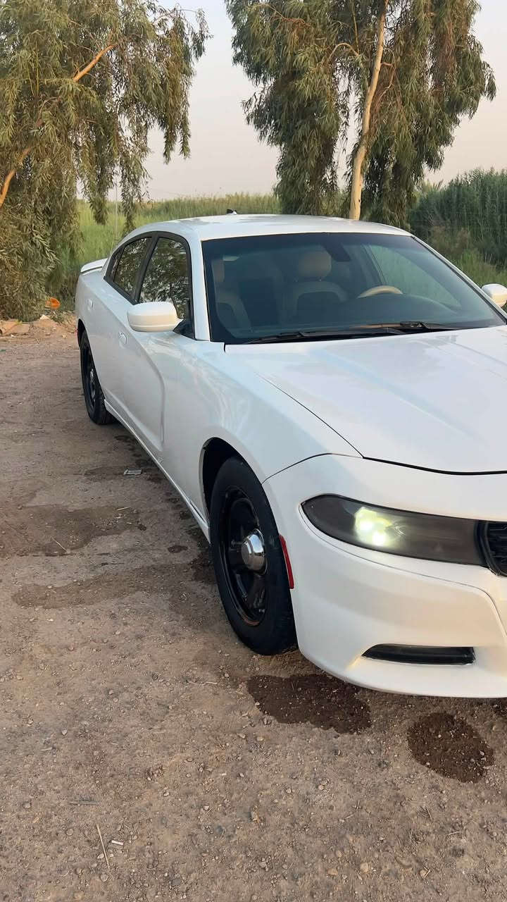 سعر 140 وبيها مجال
جارجر مديل 18اصل رقم بغداد سياره بوليسي توو ويل 6Vسته سلندر شرط شلعه مالتها مالت هيمي  شلعتها شگ لگاع 😅كير الف تعليك  مواصفات عاديه حساسات خلفيه كامره شاشه وسط للمس 
محورها غاز سياره مسويلها ادامه كامله ع ايدي سياره تخبل راديتر ماي جديد مروحه طياره يعني حماوه انساها تبريد ثلج
سياره بيها ضربات بالبدي لان بوليسي اكفلك عيب شرعي وگصه واصوليات ومكينه وكير
 مكاني سوق شيوخ  كرمة بني سعيد  ***********
