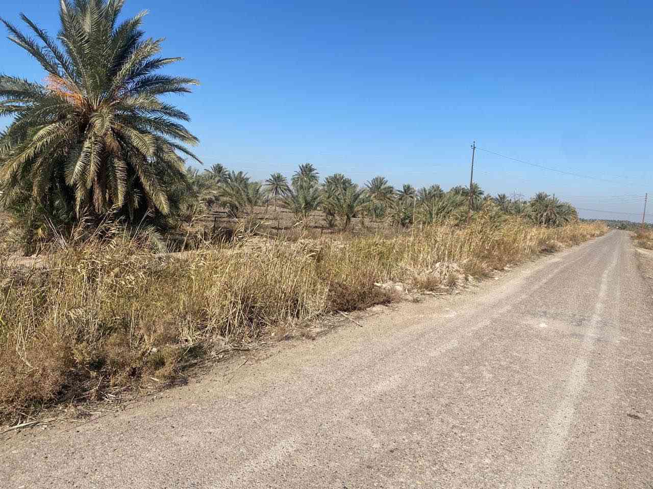 Bبستان للبيع  في منطقة اليوسفية/بير الحمام 
السند ٢٥ 
المساحه ٥ دوانم البيع حسب الطلب 
تبعد على سريع الدولي 1 كيلو ونص تحتوي على بير حلو والاروائي فوك الكاع اضافه الى بزل خلف ب الارض  والتبليط يوصل للارض 
وكذالك الكهرباء موجوده بيهه وفرصته كلش حلوه تصلح لشاليهات او كسكن للأستفساراكثر *********** بغداد, العراق
