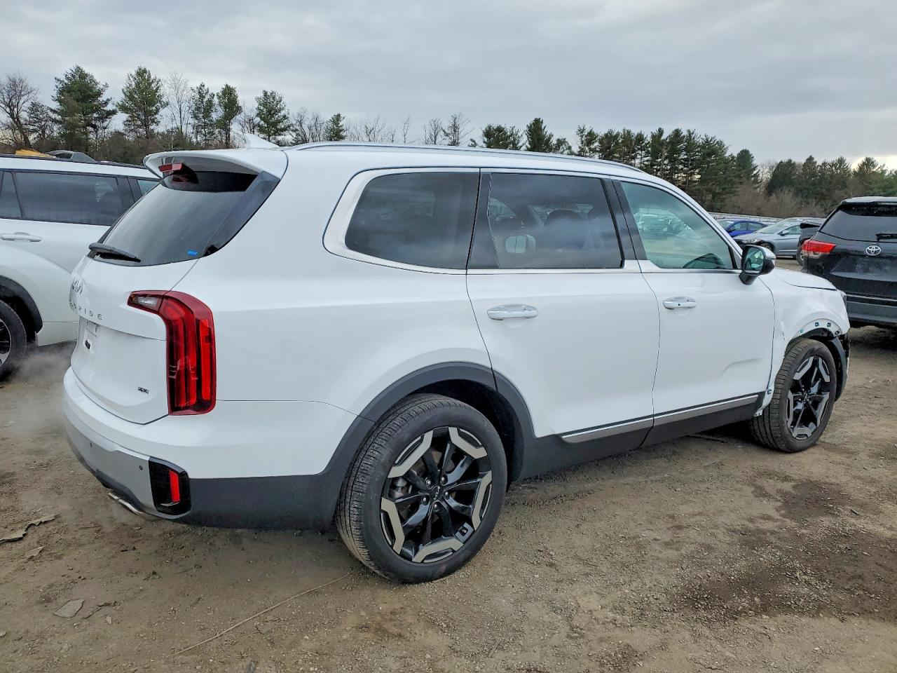 🚨 تنويه مهم
هذه السيارة معروضة في المزاد الأمريكي 🇺🇸
والمزايدة والشراء تتم عن طريق مكتب الباخرة للمزادات 🇮🇶
🔥 تدخل بكتاب الشهداء
───────────────
🚗 نوع السيارة:2024 KIA TELLURIDE S
📅 تاريخ المزاد:الاثنين 23-03-2026
💰 السعر: يتحدد داخل المزاد
📊 الممشى:17070 ميل فعلي
🛠️المحرك: 6 سلندر / 3.8 لتر
───────────────

🔥 مجاناً مجاناً مجاناً
📄 تقرير كارفاكس مجاني بدون أي مقابل
───────────────

🚗 سحب السيارة خلال 24 ساعة من وقت التسديد
💸 حسابات مخفّضة وعمولات أقل من السوق
───────────────

🚢 الشحن متوفر من:
🇺🇸 🇨🇦 جميع الولايات الأمريكية والكندية
➡️ شحن مباشر إلى العراق
➡️ العقبة – جبل علي – ميرسين
───────────────

🛃 تخليص كمركي كامل من ميناء أم قصر
🏔️ تخليص كمركي إلى إقليم كردستان
🇯🇴 شحن مباشر إلى عمّان (العقبة)
🇹🇷 شحن إلى ميناء ميرسين – تركيا
───────────────

🏢 فروع الشركة:
📍 الفرع الأول: بغداد – السيدية – الإعلام
📍 الفرع الثاني: الإمارات العربية المتحدة – الشارقة – الصناعية 4
───────────────

👥 مجموعة البيع والشراء:
https://www.facebook.com/share/g/17pXXBgeeU/?mibextid=wwXIfr

───────────────

🎵 TikTok:
https://www.tiktok.com/@al_bakhera?t=8qGOLioZlVE&_r=1

───────────────

📞 للاستفسار والتواصل:
+9647739115599


**إذا كنت صاحب هذا الإعلان وتريد حذفه لأي سبب، رجاءا أرسل رسالة إلى الدعم الفني**