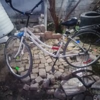 بيسكل • حجم 27 • حي الشهداء