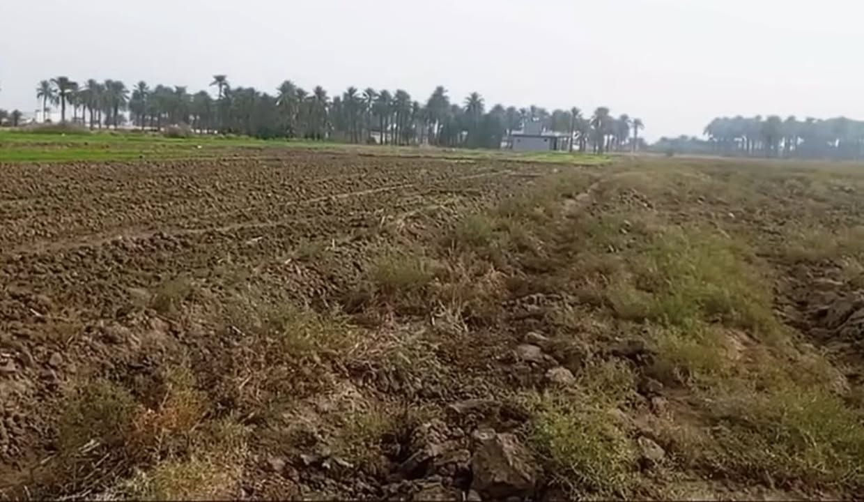 السلام عليكم بغداد الراشدية ثلاث3 دوانم  السعر الدونم واحد سعرها75بية مجال

واجها50النزال150

سند25طابو 

ماي ساله ماي سكي واكهرباء 

الارض ع تبليط عرض شارع 15متر  

الاستفسار ***********

— في ‏بساتين الراشديه‏.
