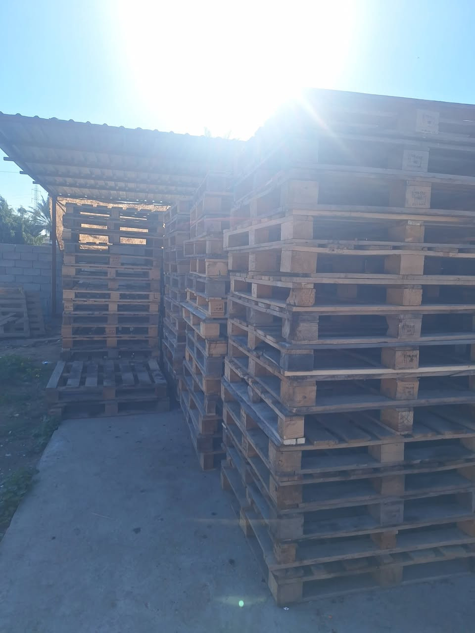 سكيب قياس 115×115 مربع ثقيل 
مثل ماواضح بالصورة ابيع شلع عدد 140سكيبه
 #ملاحظة مثل ماواضح بالصورة ابيع مو يجي ويحرجني هاي اريدها وهاي مااريدها اني خطار عليك .الكل على راسي 
الله يرزق الجميع 
 الاستفسار ***********
