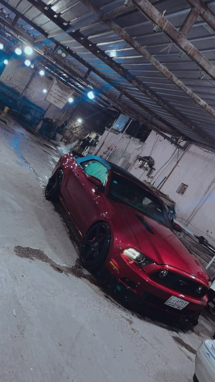 السلام عليكم شباب
Mustang gt premium 2013🐎❤️‍🔥
السياره فول مواصفات 
كشف شامو 

بريميوم 7 الوان / جلد شاشة معلومات بل دشبول انارة كيجات و انارة كلاصات وانارة تحت الرجل سستم صوت شيكر بلوتوث اتصال وتشغيل مو بس اتصال مثل العادية كشنات كهرباء
شاشه اندرويد 
تضليل امريكي 100‎%‎
گير اوتر 
لحيه RTR
دفيوزر وجنح شيلبي350
وياله فوزن نجمه قياس 20تو سايز 
السياره مفرغه وعليها داون بايب ستل ستيل 
عليها دبات ht power بوابات رموت تفتح وتسد حسب رغبتك نغمتها كلش حلوه ومابي دويه 
حلوك corsa

عليها فرمجه سيفتي كت اوف وطلقات برمجتها استعمال يومي 
صدر جديد تايرات جدد السياره كلها جديد مابيها اي نقوصات ومسويلها ادامه كامله 
ماشيه 68mi
حادثها صندوك وشويه بارد بل جاملخ الخلفي بامريكا وبلعراق صار بيها جاملغ امامي جهة السايق وايرباك الدركه طاك 
 
صور حادثها موجوده

مكاني بغداد اليرموك


**إذا كنت صاحب هذا الإعلان وتريد حذفه لأي سبب، رجاءا أرسل رسالة إلى الدعم الفني**